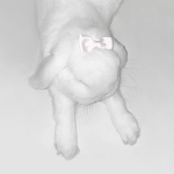 xolilox